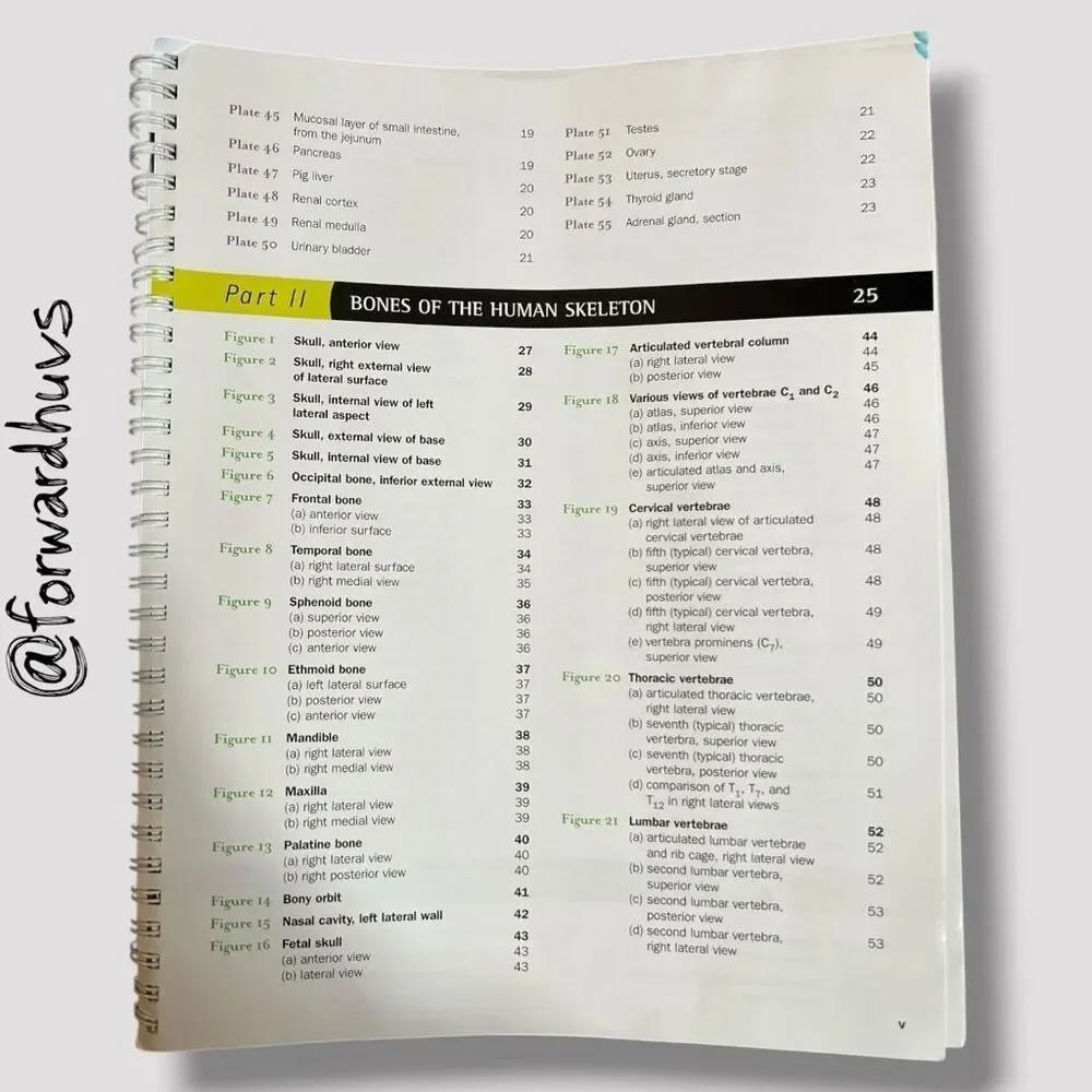 2007 Brief Atlas of the Human Body by Matt Hutchinson